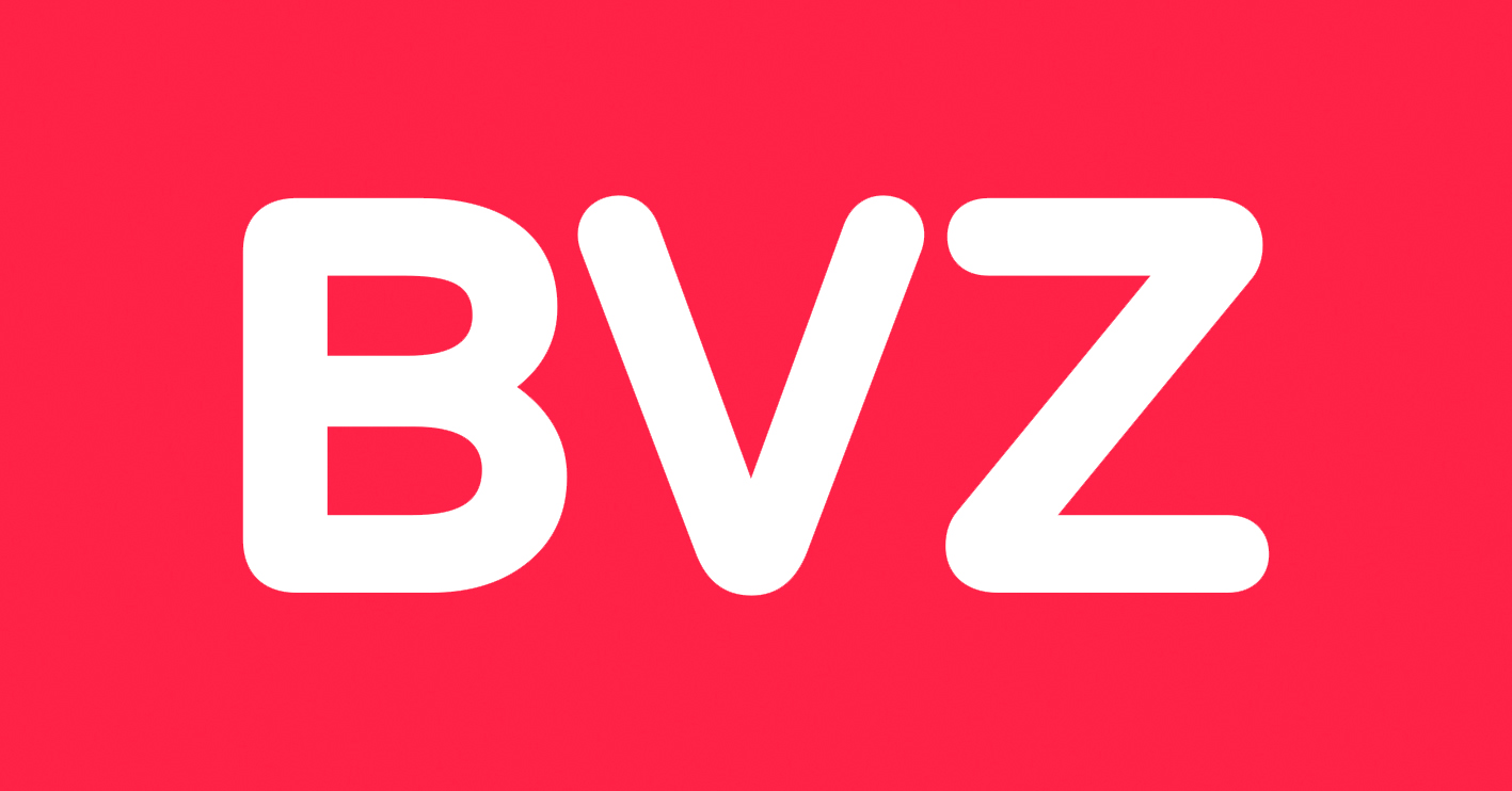 logo bvz